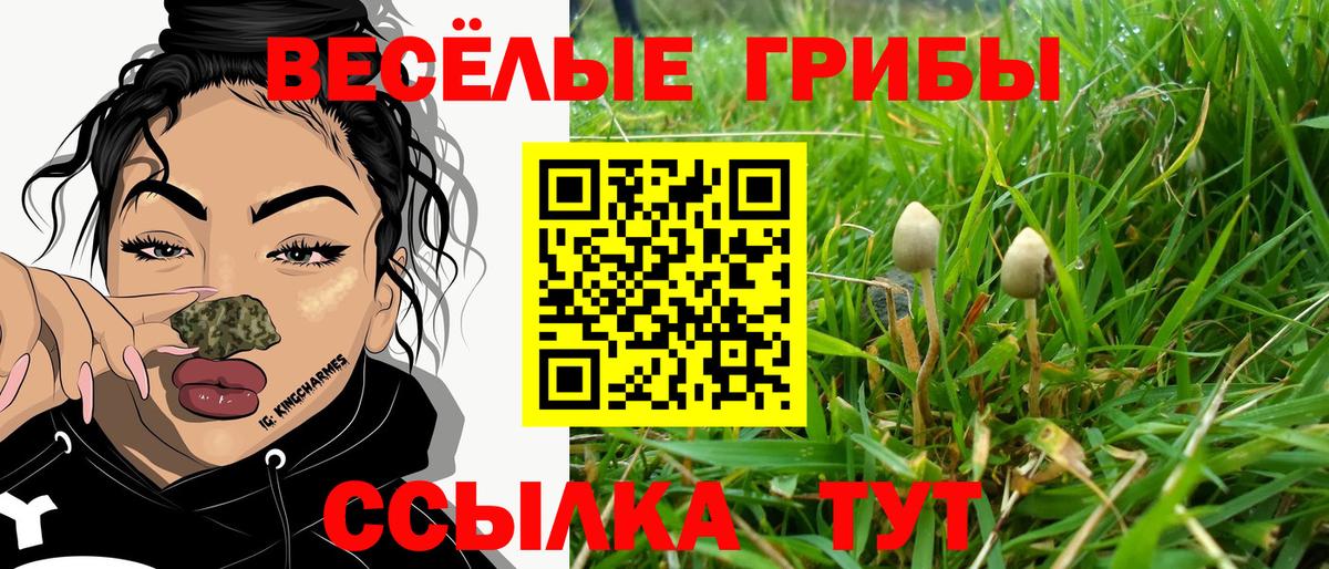 Псилоцибиновые грибы ЛСД Кондопога
