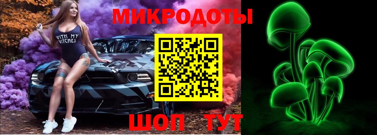 Галлюциногенные грибы MAGIC MUSHROOMS  Вход с VPN  купить наркотики цена  Кондопога 